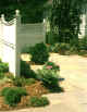 A1 Cedar Fencing by CT Valley Fence .jpg (30744 bytes)